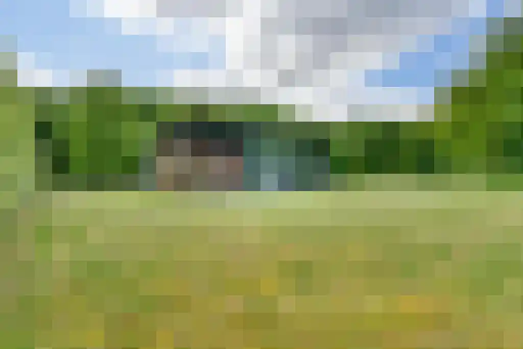 Beukenburgerlaan 65 Groenekan thumbnail 54