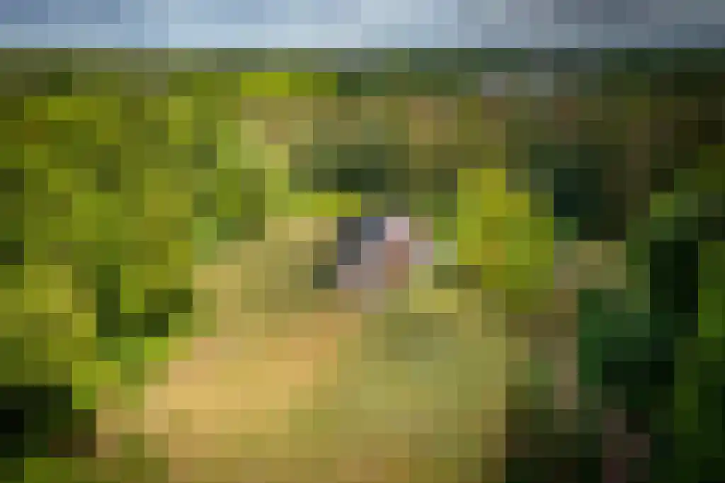 Beukenburgerlaan 65 Groenekan thumbnail 57