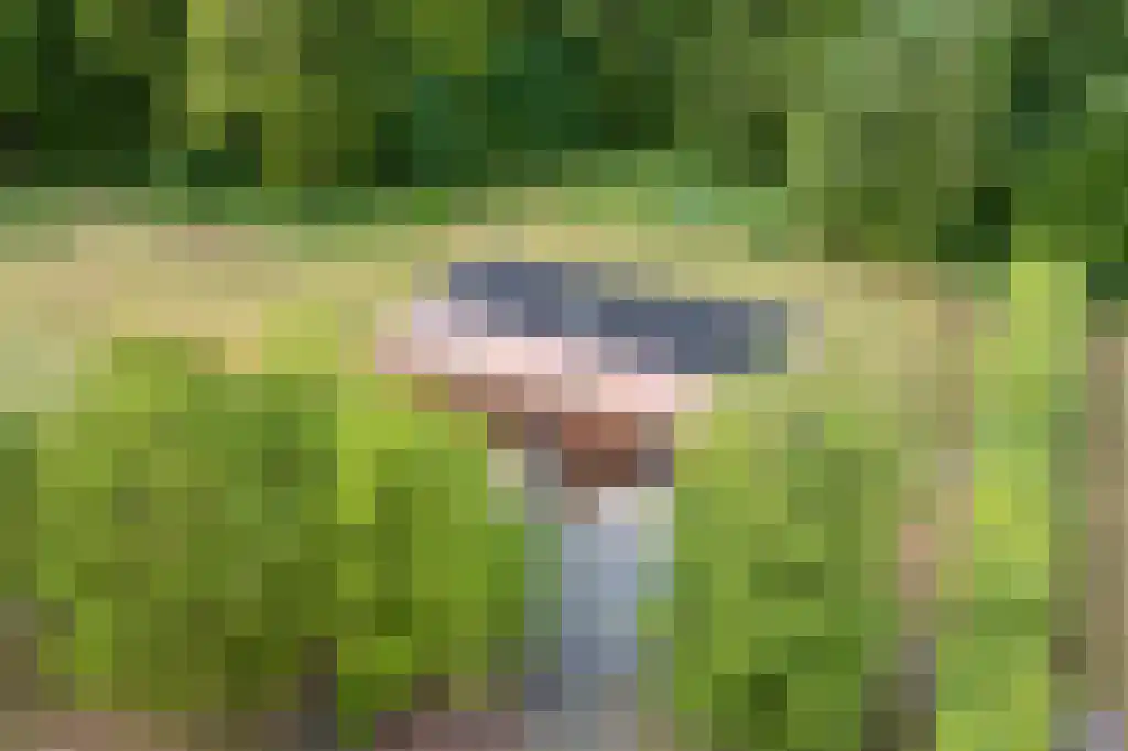 Beukenburgerlaan 65 Groenekan thumbnail 58