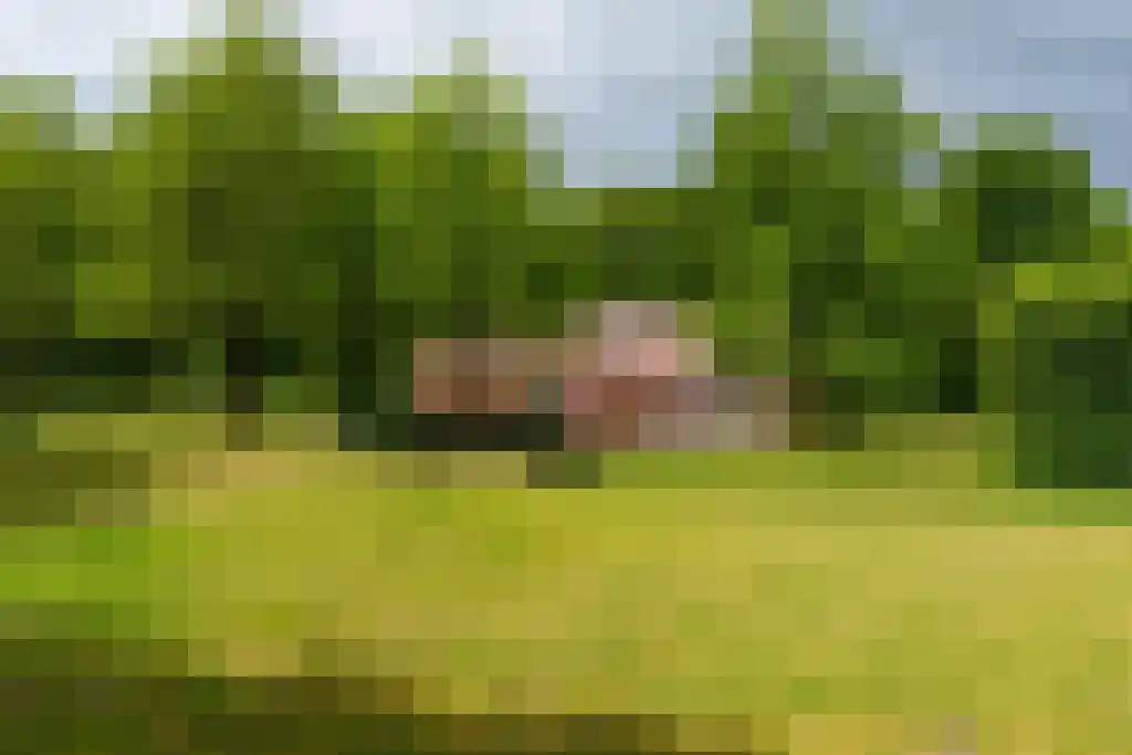 Beukenburgerlaan 65 Groenekan thumbnail 59