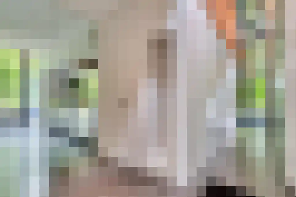 Beukenburgerlaan 65 Groenekan thumbnail 7