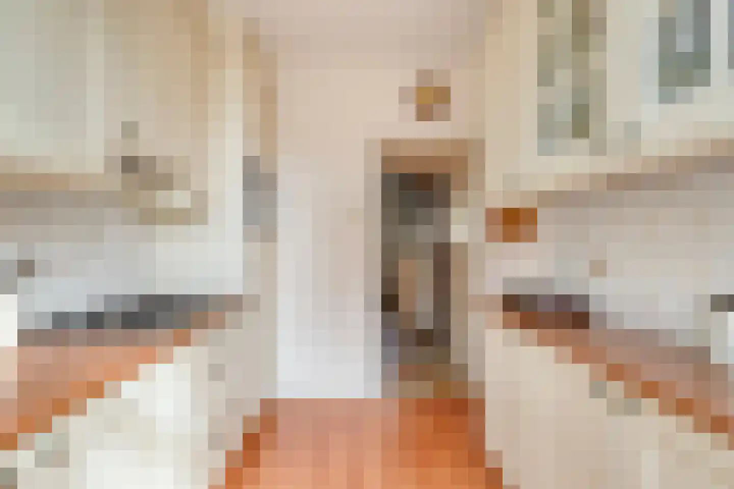 Beukendaal 2 Gouderak thumbnail 11