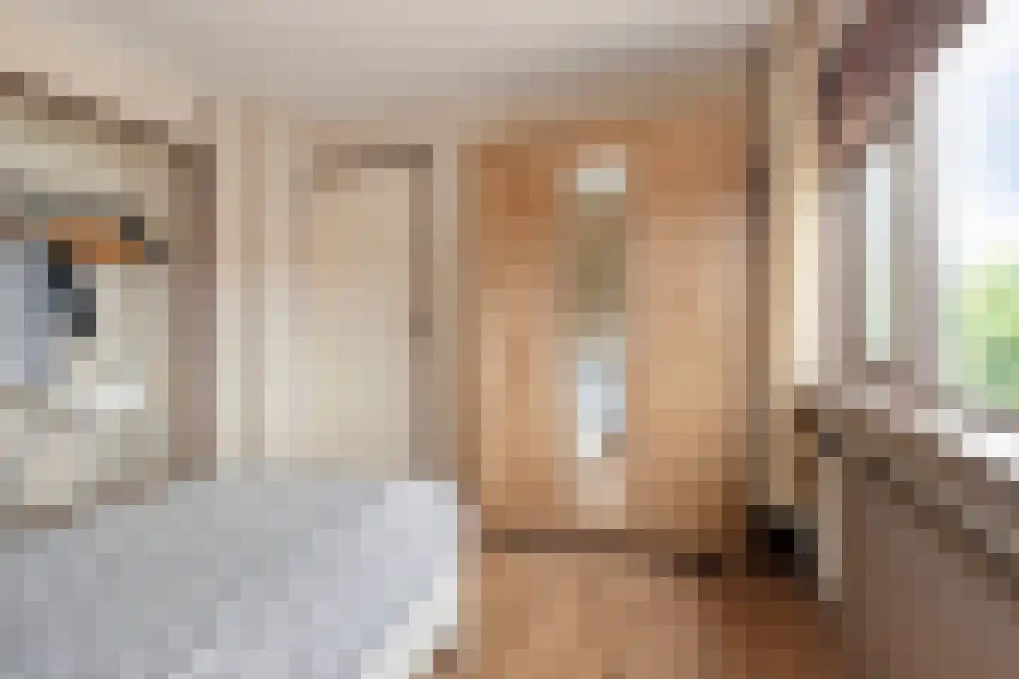 Beukendaal 2 Gouderak thumbnail 16