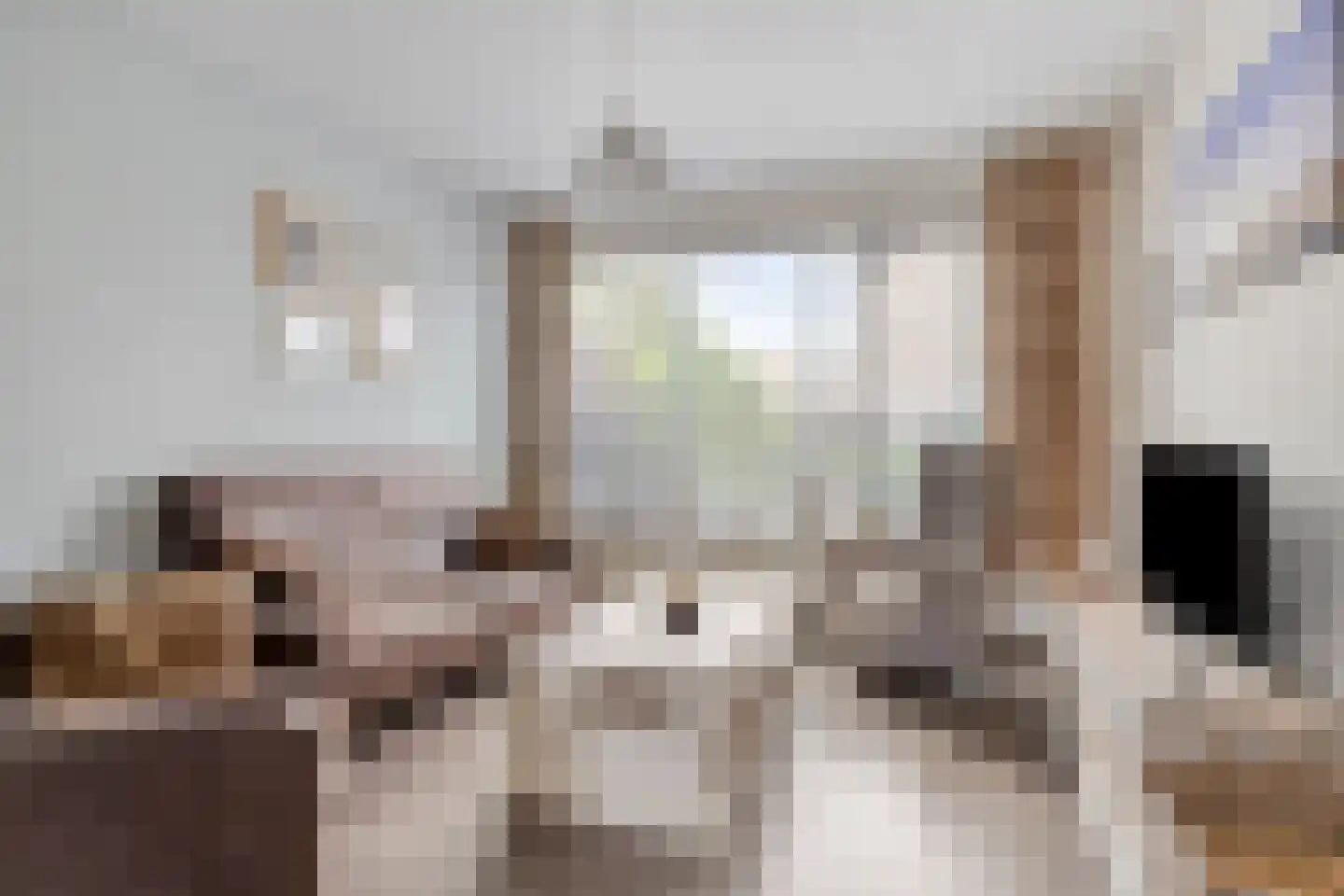 Beukendaal 2 Gouderak thumbnail 7