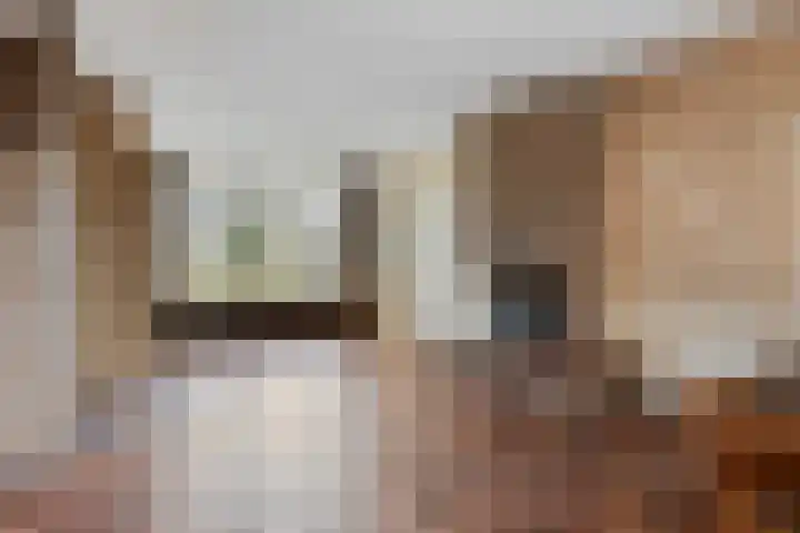 Beukendreef 11 Berkel-Enschot thumbnail 10