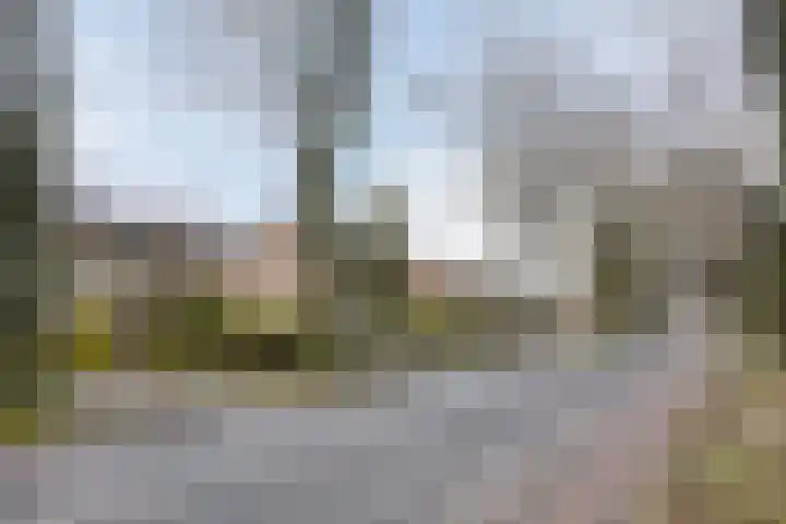 Beukendreef 11 Berkel-Enschot thumbnail 40