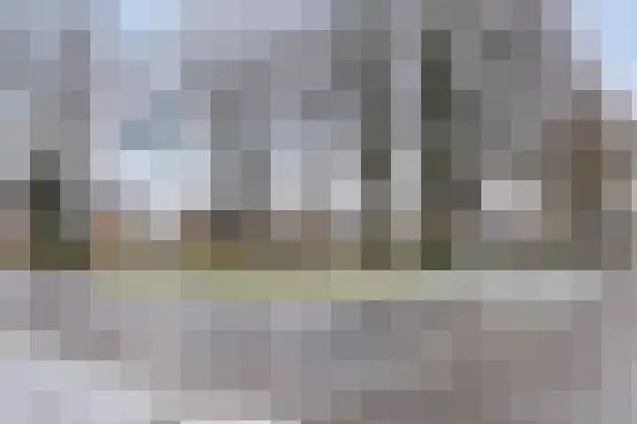 Beukendreef 11 Berkel-Enschot thumbnail 41