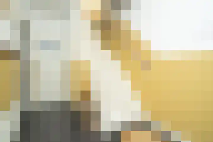 Beukendreef 110 Oisterwijk thumbnail 11