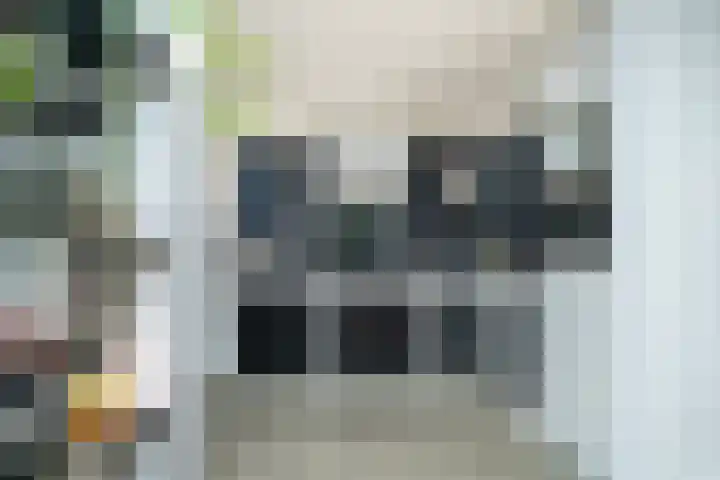Beukendreef 110 Oisterwijk thumbnail 19