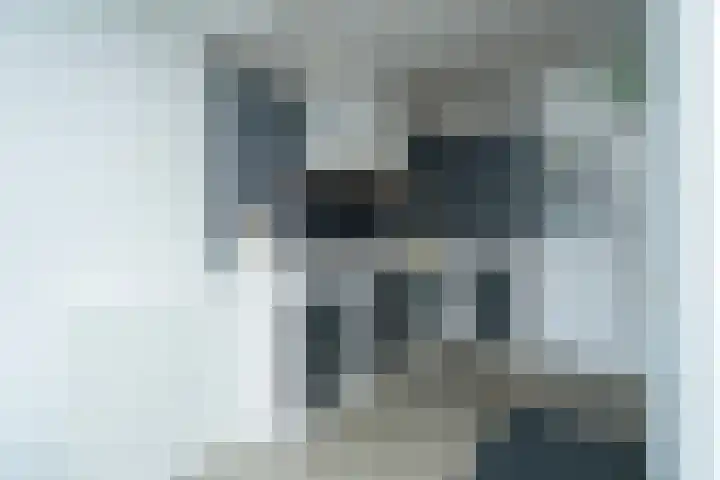 Beukendreef 110 Oisterwijk thumbnail 21