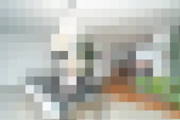 Beukendreef 110 Oisterwijk thumbnail 23