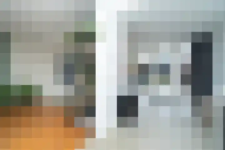 Beukendreef 110 Oisterwijk thumbnail 24