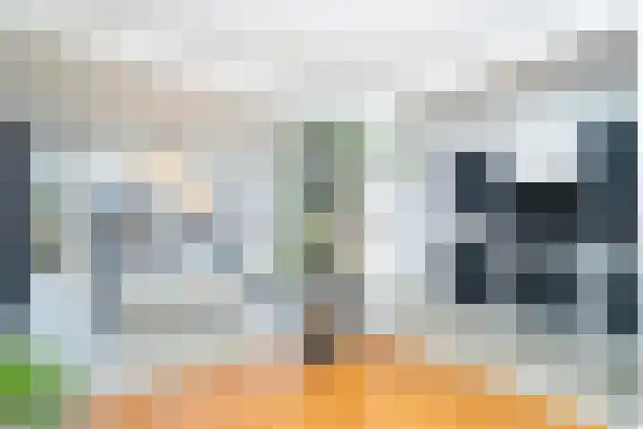 Beukendreef 110 Oisterwijk thumbnail 25