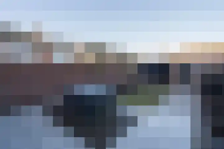 Beukendreef 110 Oisterwijk thumbnail 30