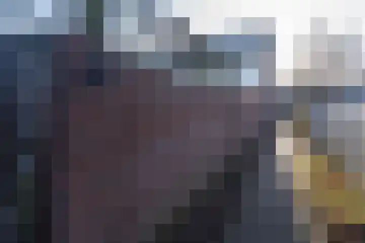 Beukendreef 110 Oisterwijk thumbnail 33