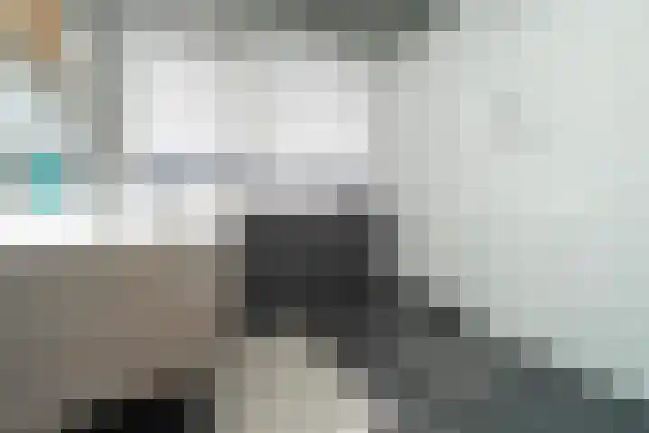 Beukendreef 110 Oisterwijk thumbnail 43