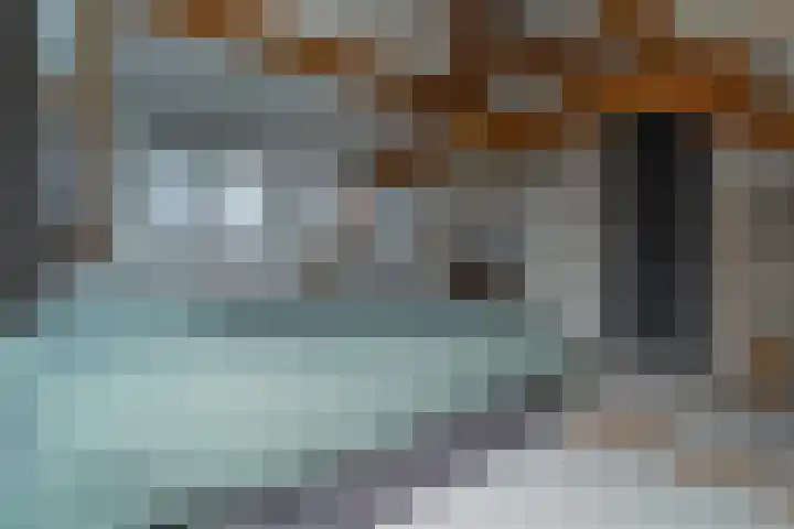 Beukendreef 110 Oisterwijk thumbnail 49