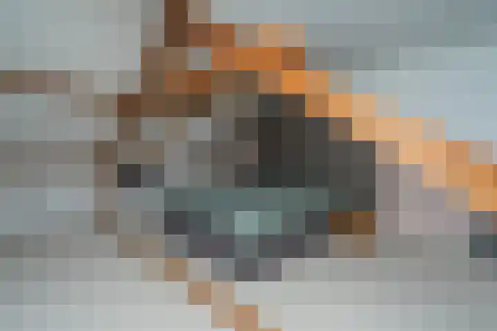 Beukendreef 110 Oisterwijk thumbnail 50