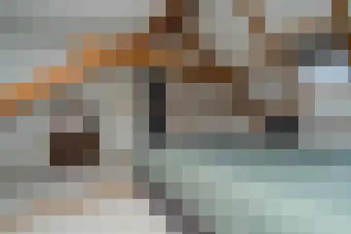Beukendreef 110 Oisterwijk thumbnail 51