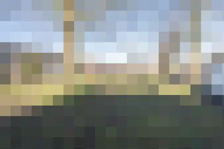 Beukendreef 110 Oisterwijk thumbnail 55