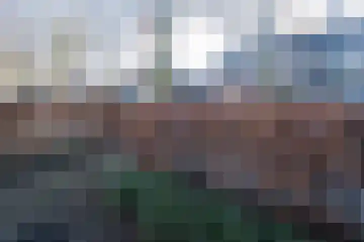 Beukendreef 110 Oisterwijk thumbnail 8