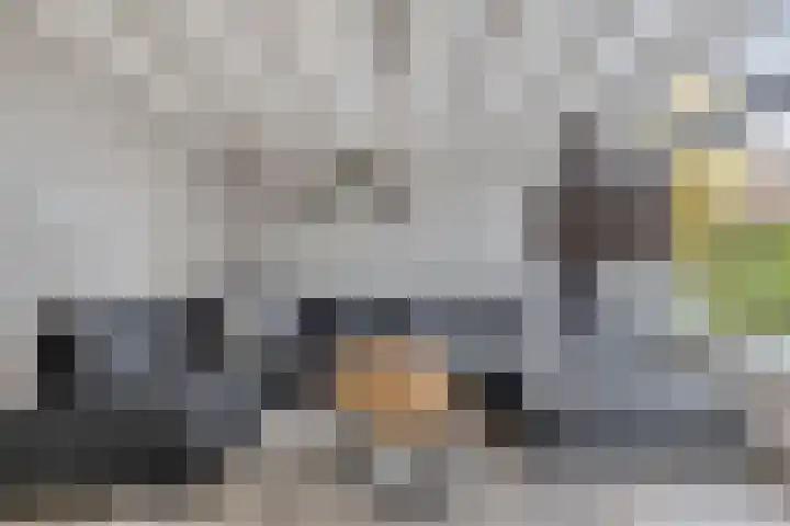 Beukendreef 123 Oisterwijk thumbnail 10