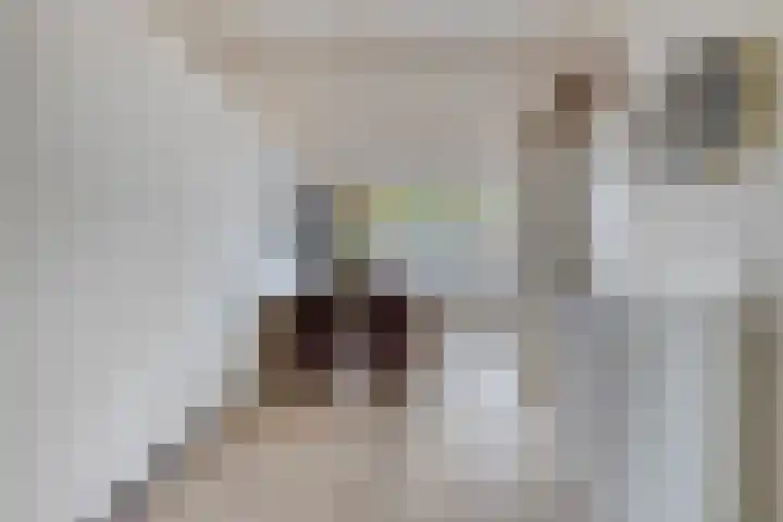 Beukendreef 123 Oisterwijk thumbnail 13