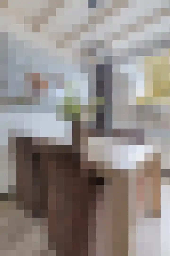 Beukendreef 123 Oisterwijk thumbnail 16