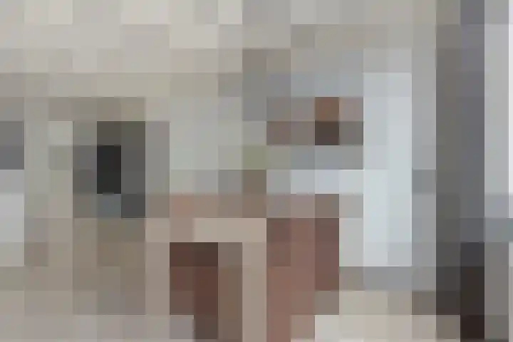 Beukendreef 123 Oisterwijk thumbnail 17