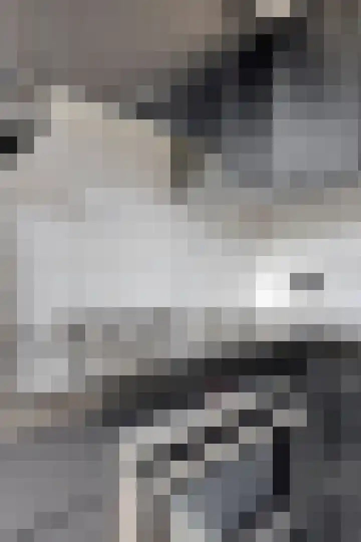 Beukendreef 123 Oisterwijk thumbnail 20