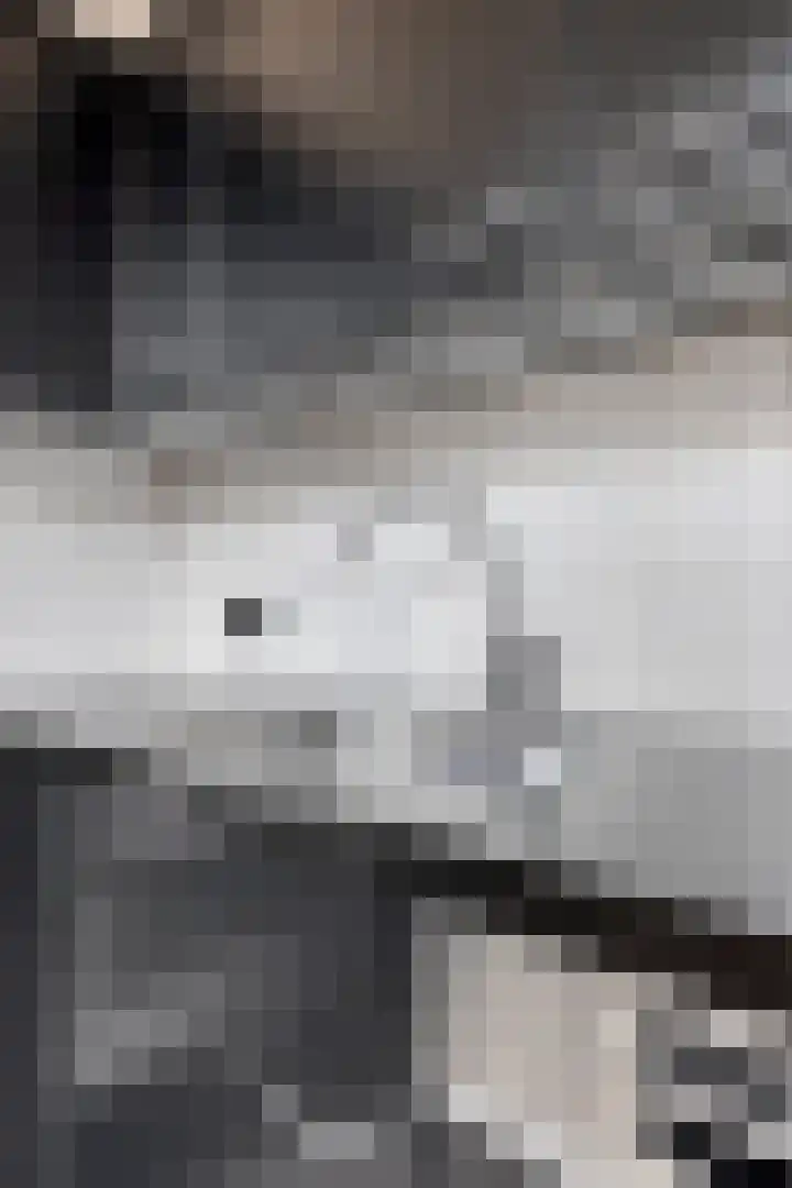Beukendreef 123 Oisterwijk thumbnail 21