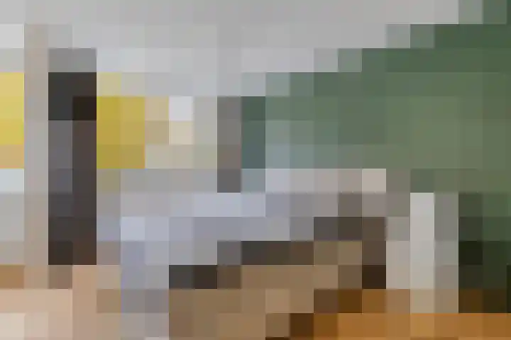 Beukendreef 123 Oisterwijk thumbnail 24