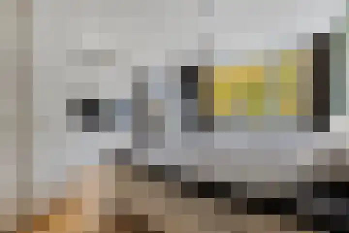 Beukendreef 123 Oisterwijk thumbnail 25