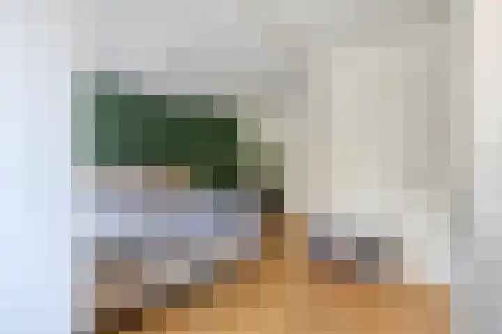 Beukendreef 123 Oisterwijk thumbnail 26