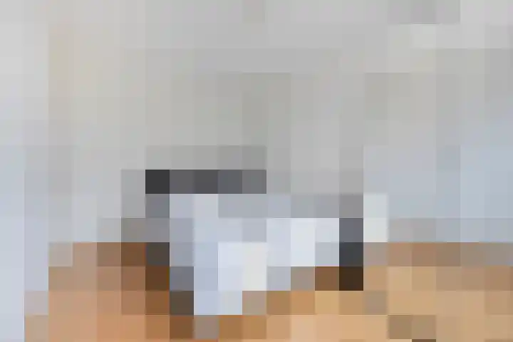 Beukendreef 123 Oisterwijk thumbnail 31