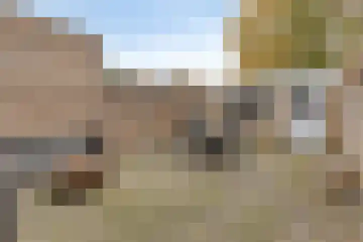 Beukendreef 123 Oisterwijk thumbnail 35