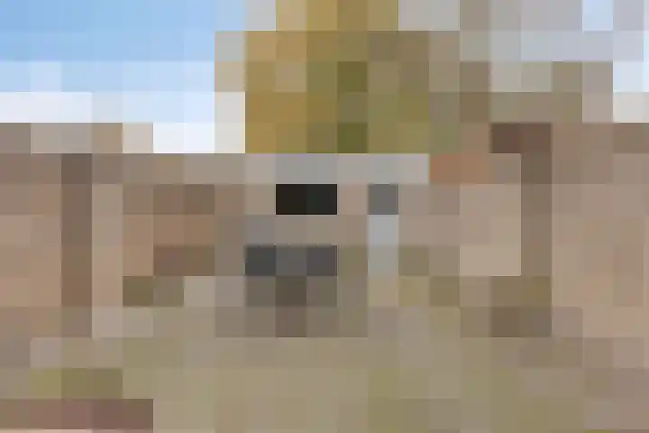 Beukendreef 123 Oisterwijk thumbnail 36