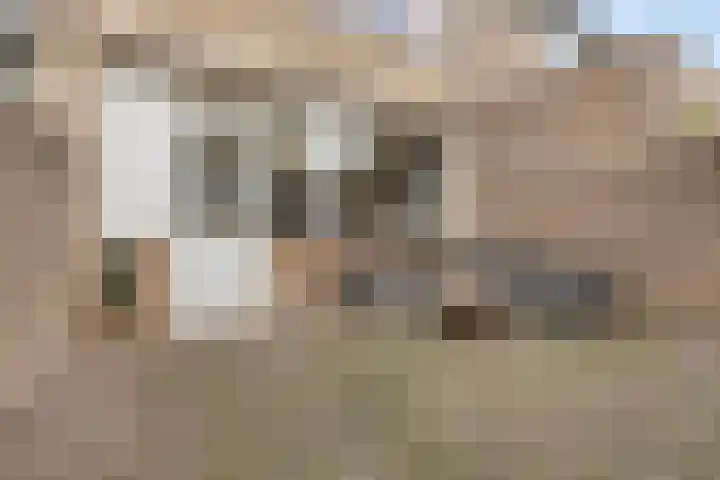 Beukendreef 123 Oisterwijk thumbnail 37