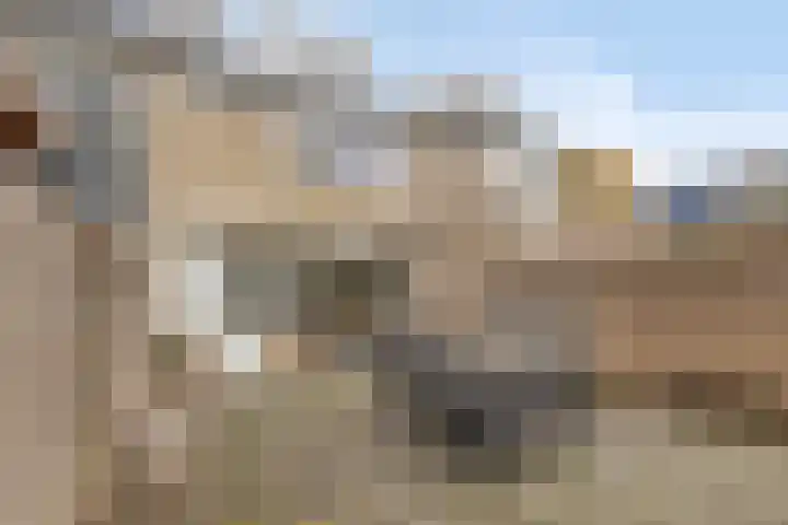 Beukendreef 123 Oisterwijk thumbnail 38