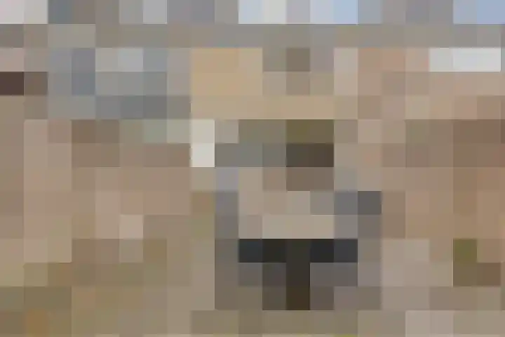 Beukendreef 123 Oisterwijk thumbnail 39