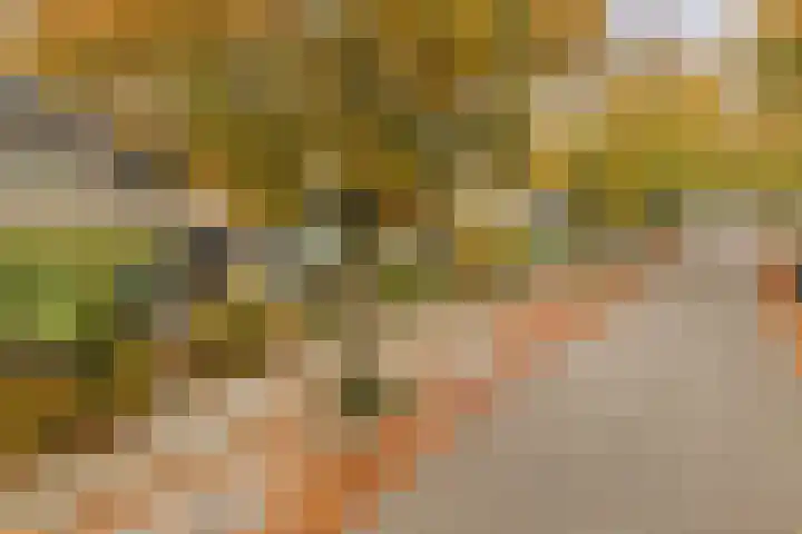 Beukendreef 123 Oisterwijk thumbnail 4