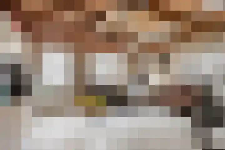 Beukendreef 123 Oisterwijk thumbnail 41