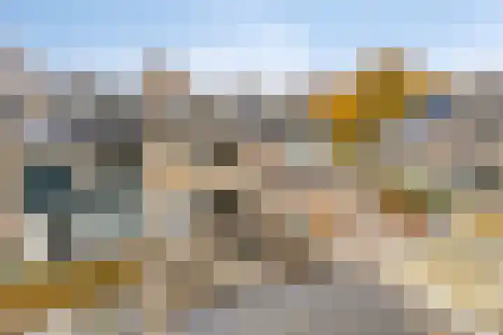 Beukendreef 123 Oisterwijk thumbnail 44