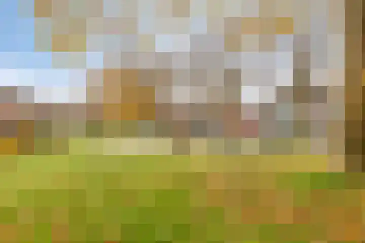 Beukendreef 123 Oisterwijk thumbnail 45