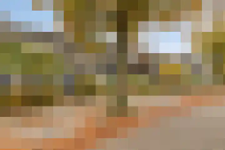Beukendreef 123 Oisterwijk thumbnail 5