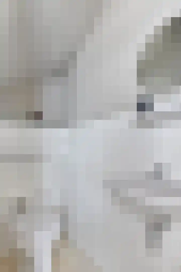 Beukendreef 123 Oisterwijk thumbnail 8