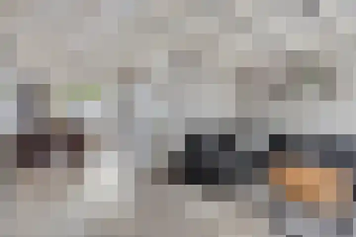 Beukendreef 123 Oisterwijk thumbnail 9