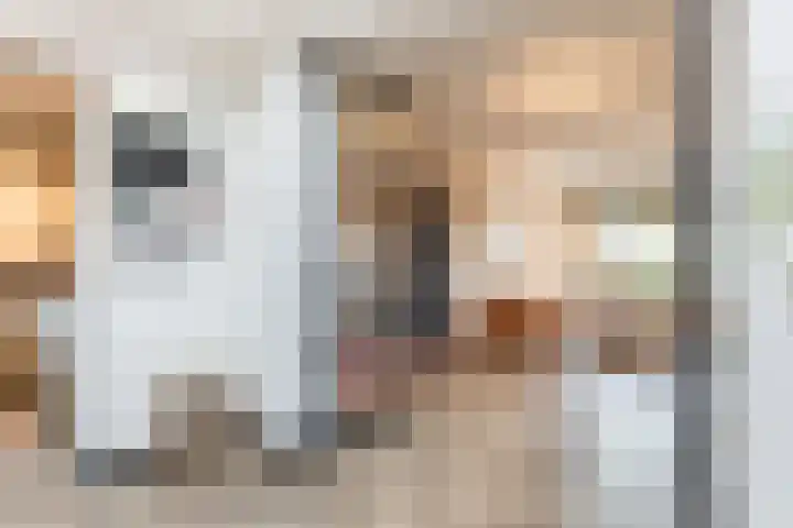 Beukendreef 26 Oisterwijk thumbnail 11