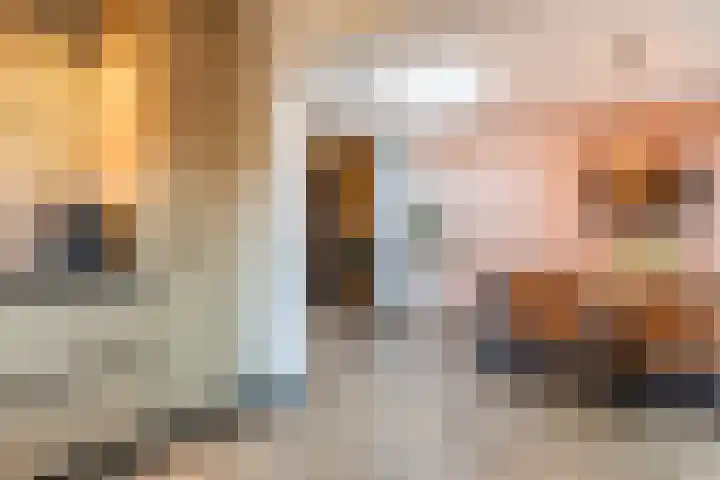 Beukendreef 26 Oisterwijk thumbnail 13