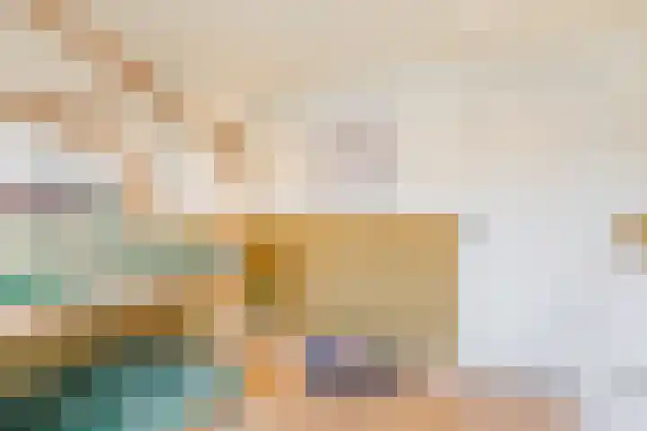 Beukendreef 26 Oisterwijk thumbnail 22